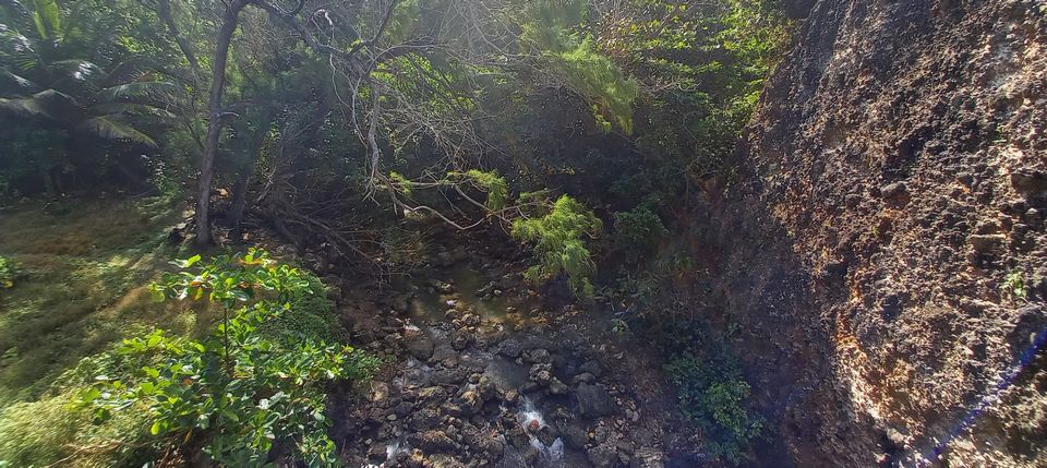 Looking into Joes River Gorge