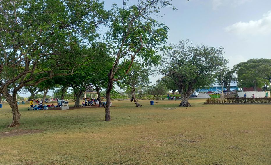 Panoramic view of the park