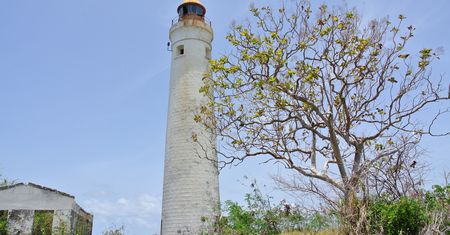 View of the Harrison Point lighthouse and adjoining building (partially in ruins)