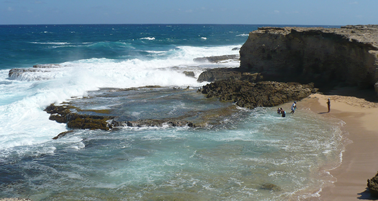 View at little Bay Barbados