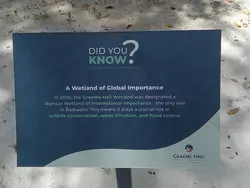 A wetland of global importance