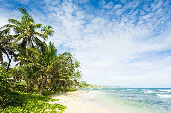 Martins Bay, Barbados