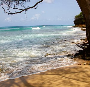 Beach at  Maycocks Bay