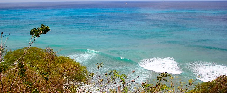 View above Maycocks Bay