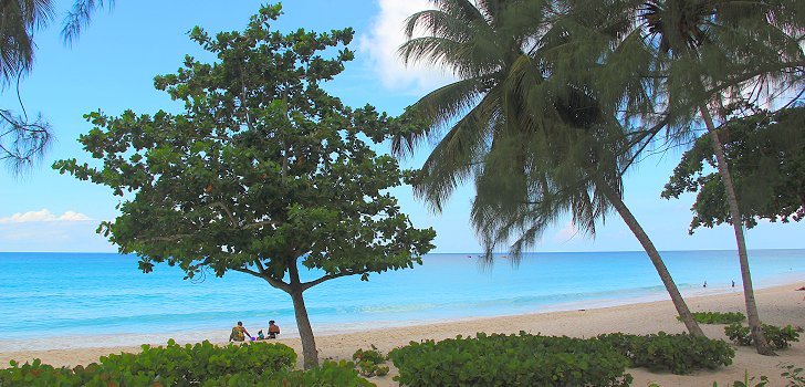 Miami beach Travellers Barbados Tips & Insights