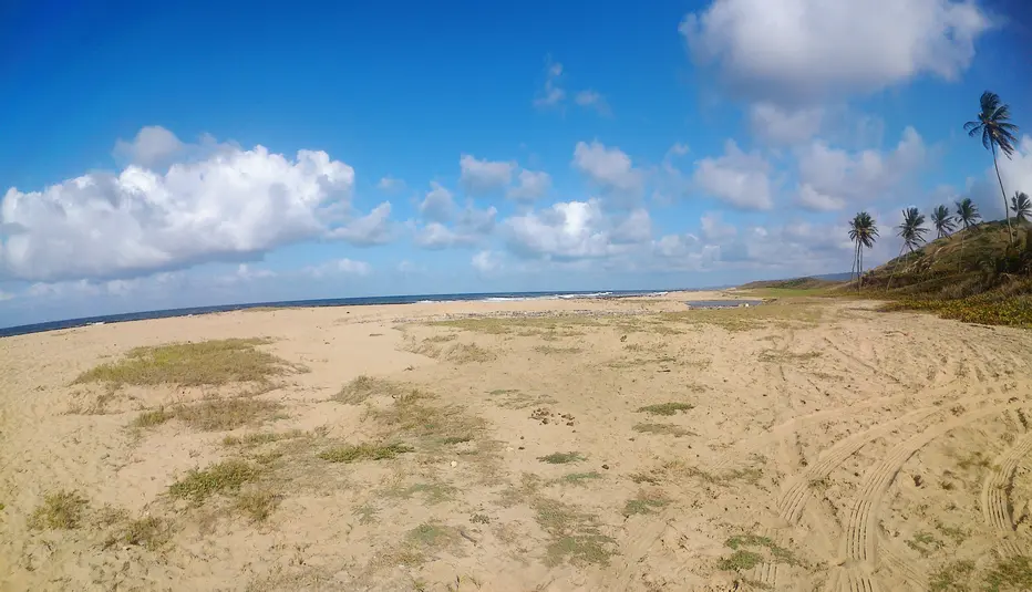 Panoramic view of Morgan Lewis beach