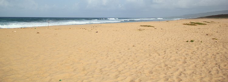 Morgan Lewis beach