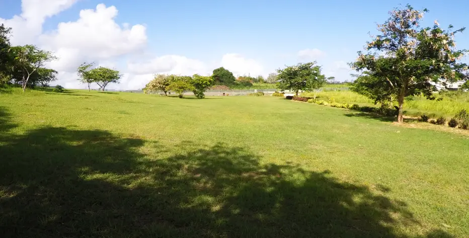 Looking across the sacred burial ground