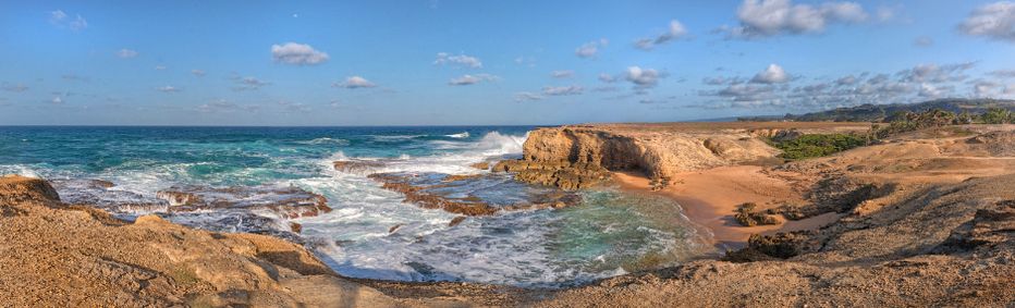 Overlooking Little Bay with its ocean pools and golden sands