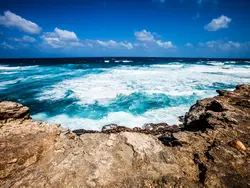 Endless Ocean Views