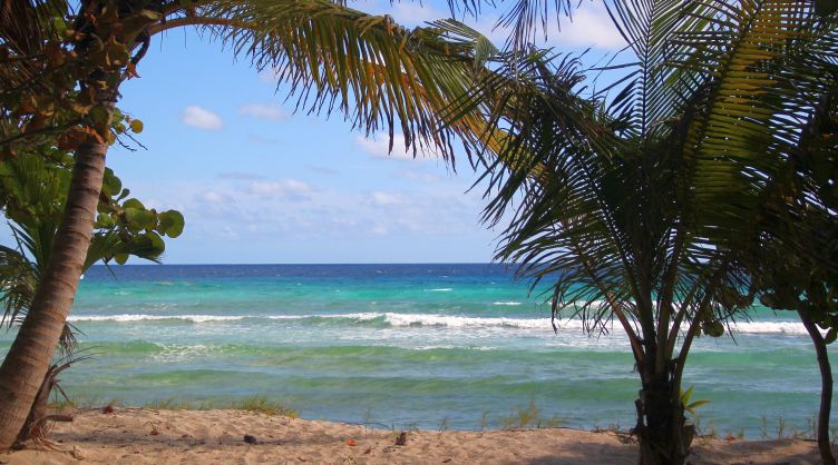 Palm Beach Barbados
