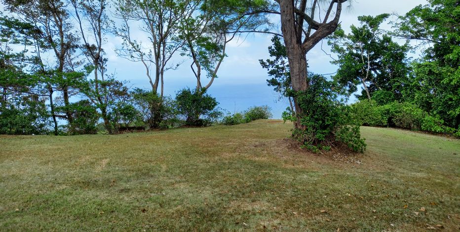 Camping area at PEG Farm