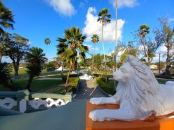 Majestic lion stone carving