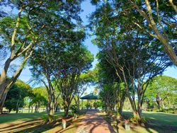 Trees and bandstand in Queens Park