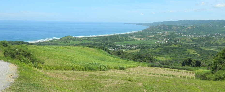 View at Cherry Tree Hill