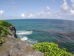 Ocean Expanse