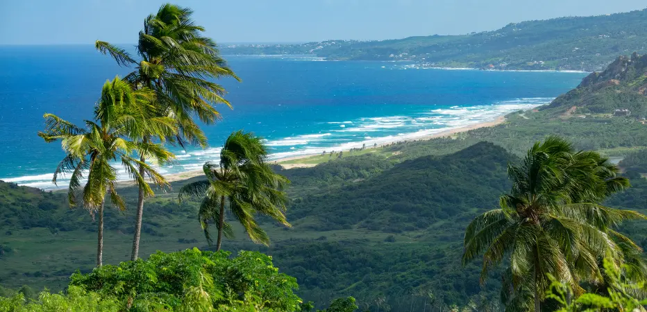 Lush land and vibrant seas in the Scotland District