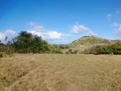 Fields and Hills Fields and Hills