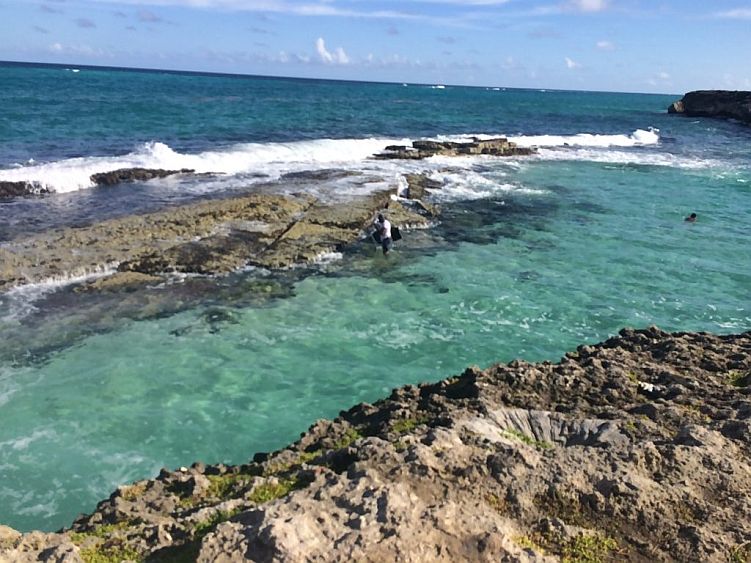 Discover Shark Hole Beach Barbados: A Hidden Gem for Adventurers