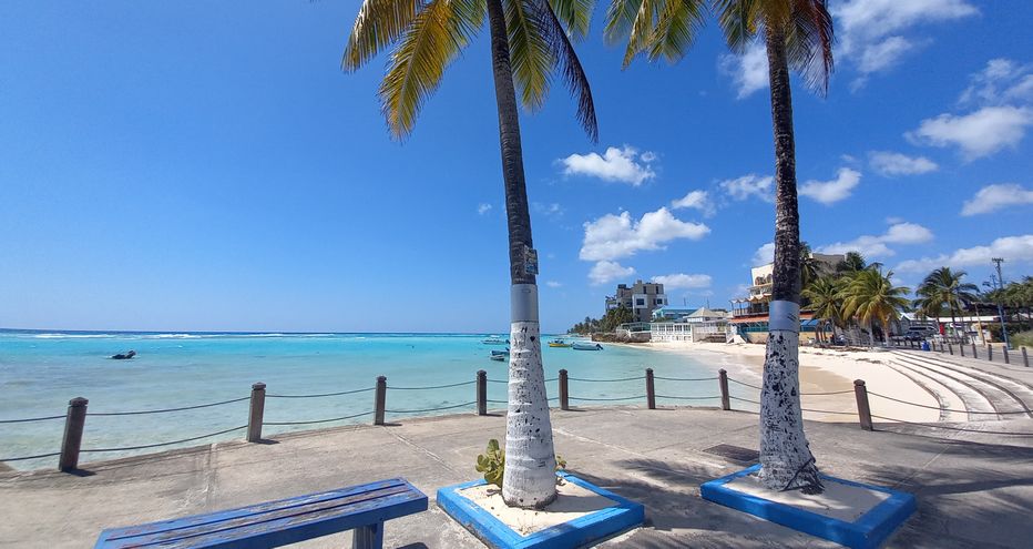 Panormaic view of the boardwalk and bay