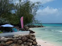 Mimosas oceanfront restaurant