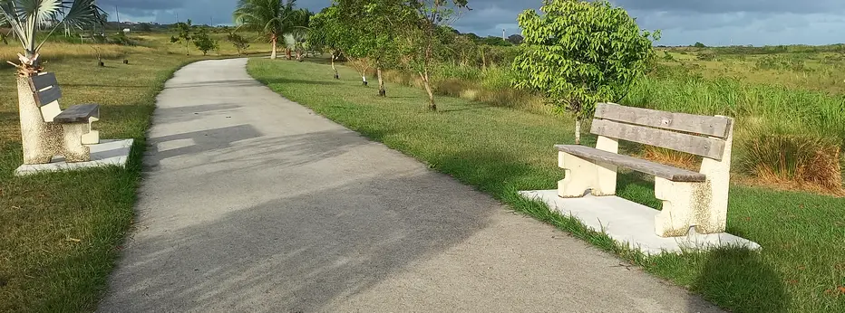 Benches along the trailway