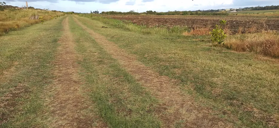 Part of the unpaved section - a Barbados cart road!