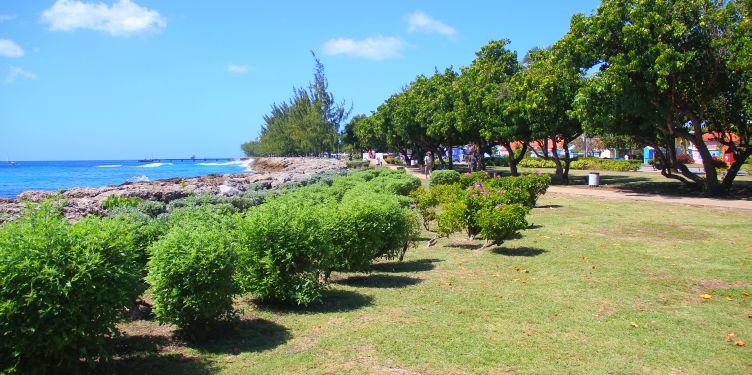 Gardens at Trevor's Way