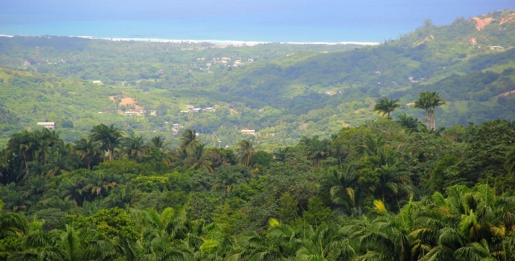 View from the lookout point