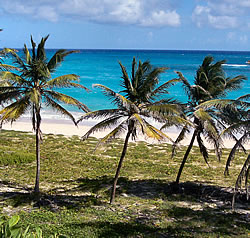 Barbados Climate Chart