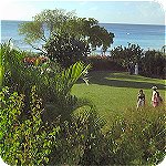Barbados eco vacations