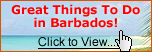 Great Things To Do in Barbados