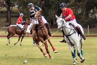 Barbados polo