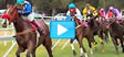 Barbados Holidays: Polo and Horse Racing