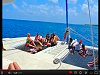 view Tiami Catamaran: Swimming with Turtles & Party Cruising
