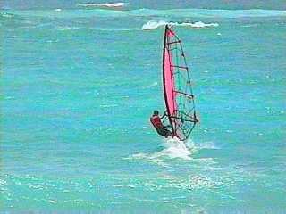 Windsurfing in Barbados