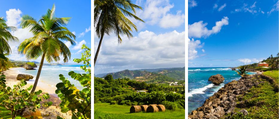 Scenes of the Barbados countryside and coastline to be explored on outdoor adventures