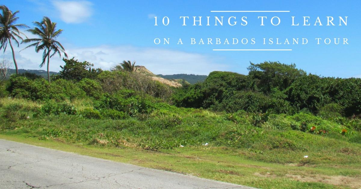 10 Things To Learn On A Barbados Island Tour