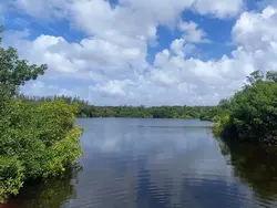 Lake Tarpon
