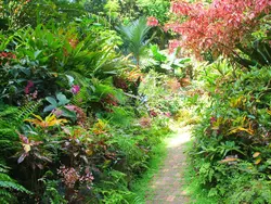 Huntes Gardens