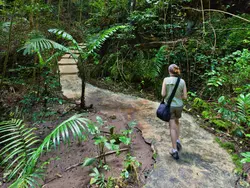 Welchman Hall Gully