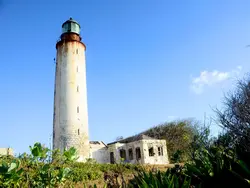 Discover hidden island treasures Discover hidden island treasures