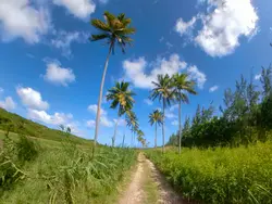 Go off the beaten track Go off the beaten track