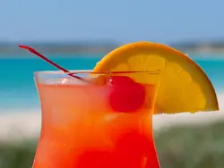Indulge in more rum punches Indulge in more rum punches