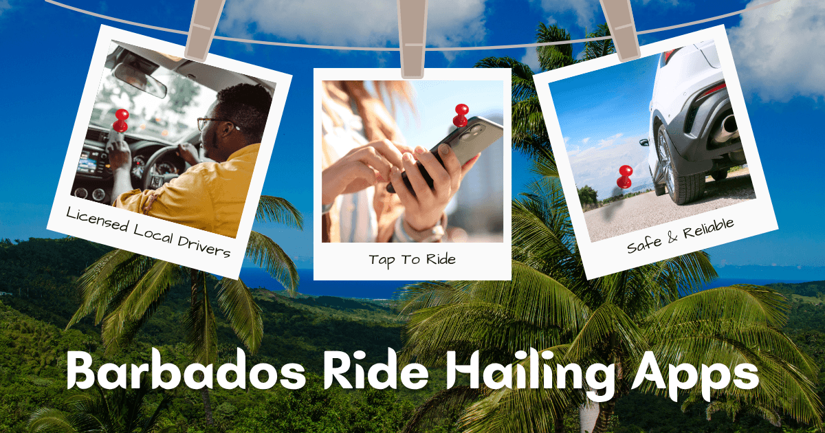 Local ride-hailing driver