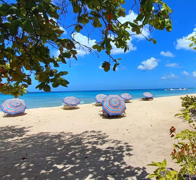 Colorful beach umbrellas on a quiet beach in Barbados