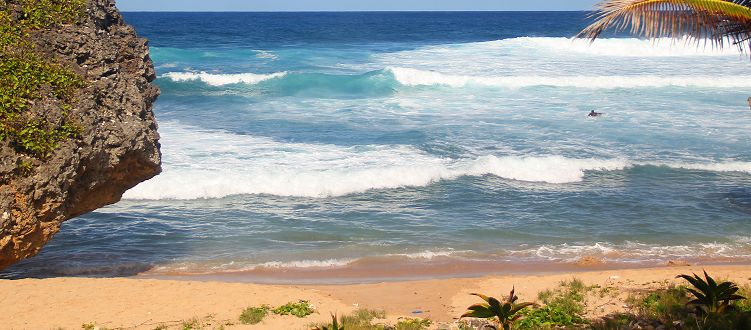 Bathsheba Beach