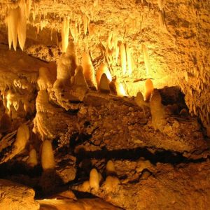 Go For The Adventure