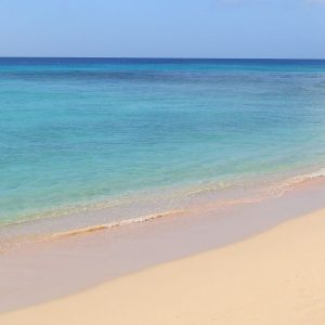Tranquil West Coast Beach