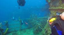 Scuba Diving Off Barbados